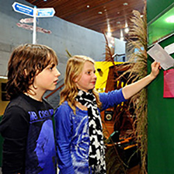 stedelijk museum alkmaar