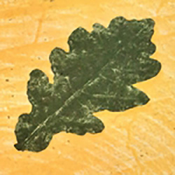 gemeente amstelveen milieuwijzer