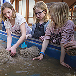 universiteitsmuseum utrecht waterbak